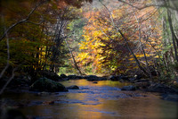 Autumn on the South Branch, NJ