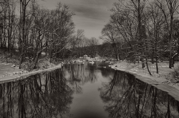 South Branch Reflection